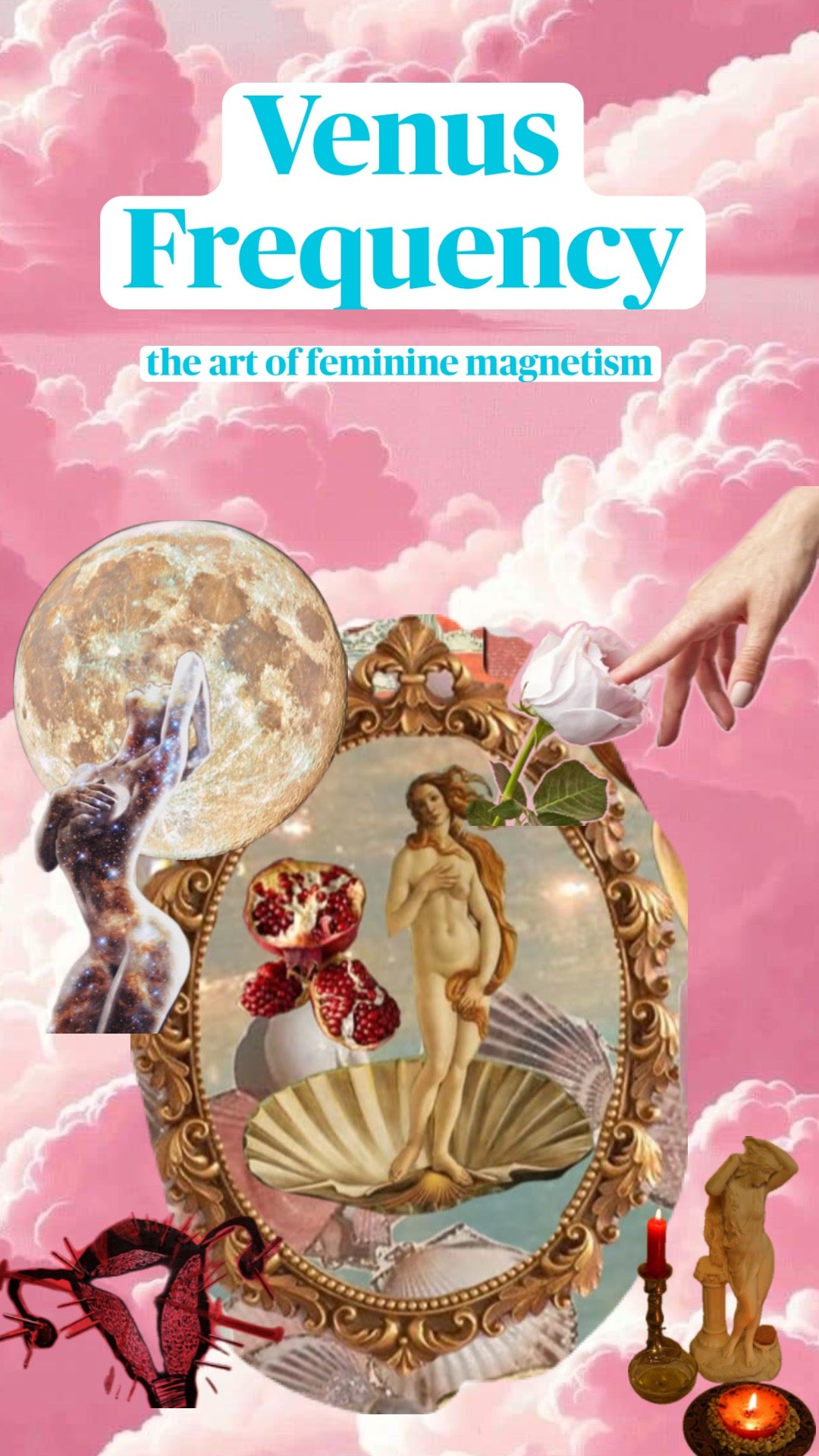 The Venus frequency: the art of feminine magnetism 8 weeks to to unlock the goddess within her